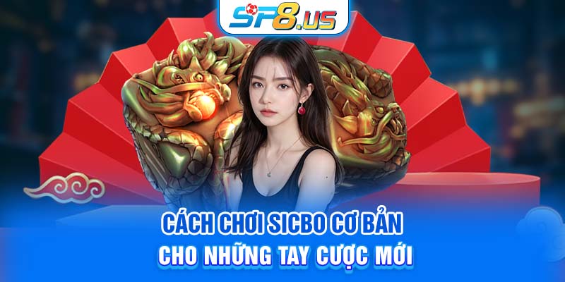 Cách chơi sicbo cơ bản cho những tay cược mới