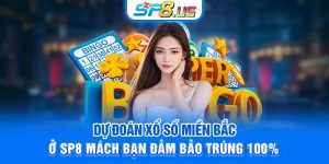 Dự Đoán Xổ Số Miền Bắc Ở SP8 Mách Bạn Đảm Bảo Trúng 100%