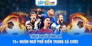 Thuật ngữ bóng đá: 15+ ngôn ngữ phổ biến trong cá cược