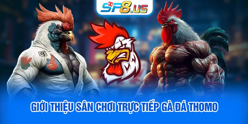 Giới thiệu sân chơi trực tiếp gà đá Thomo