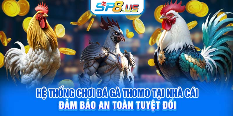 Hệ thống chơi đá gà Thomo tại nhà cái đảm bảo an toàn tuyệt đối